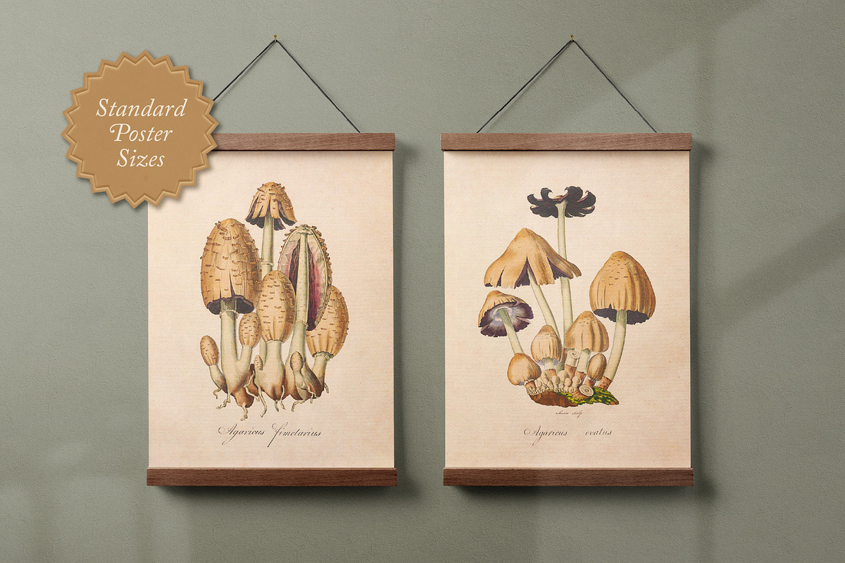 75 Vintage Mushroom Ephemera Artwork, a Decorative Illustration by The Object Atlas (Photo 5 of 7)