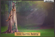 Forest Squirrels Backdrop, a Wallpaper Graphic by MixPixBox (Thumbnail 1 of 3)