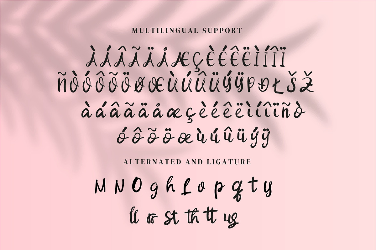Shellya Cristin - Modern Script font, a Script Font by Nahar_std (Photo 7 of 8)