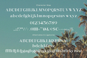 Hemidle - Modern Display Serif