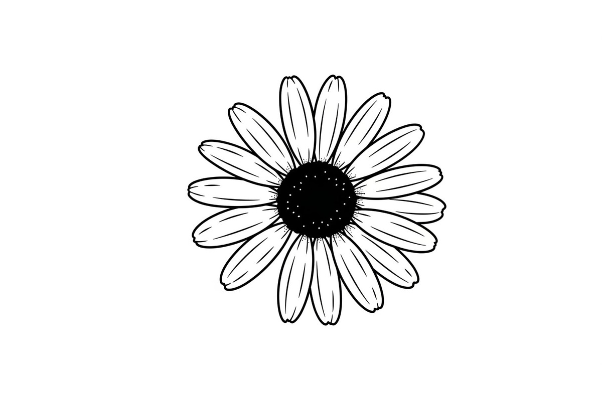 Daisy Flower Line Art Vector Bundle0, an Illustration by jahid234 (Photo 12 of 51)