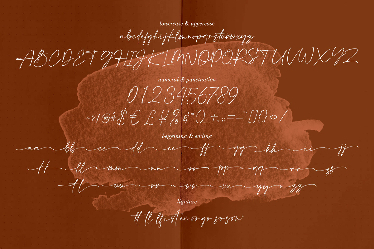 Amalfi Coast // Chic Calligraphy., a Script Font by typeline studio (Photo 15 of 16)