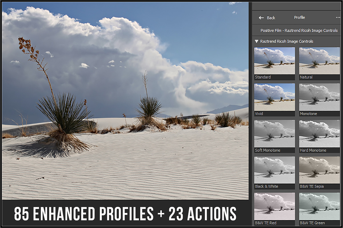 Ricoh Image Controls & Creative Mode, a Plug-in Add-On by Raztrend (Photo 2 of 31)