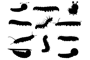 Caterpillar Silhouette