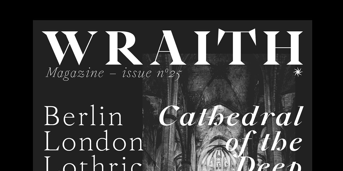 WT Solaire, a Serif Font by Wraith Types (Photo 3 of 8)