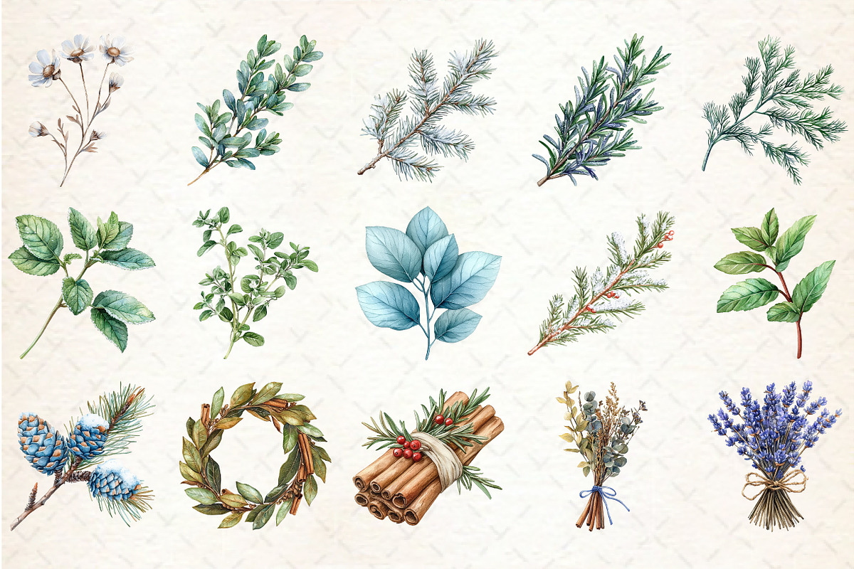 Winter Herbs Sublimation Clipart, an Illustration by Rose Art (Photo 2 of 7)