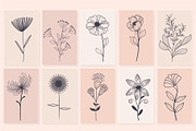 BIG Meadow Flowers Collection, a Decorative Illustration by ZinetroN (Thumbnail 2 of 4)