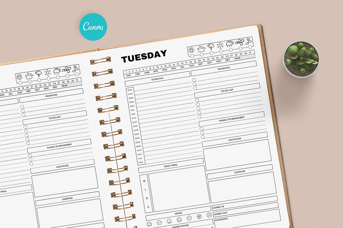 Editable Canva Daily Planner Template