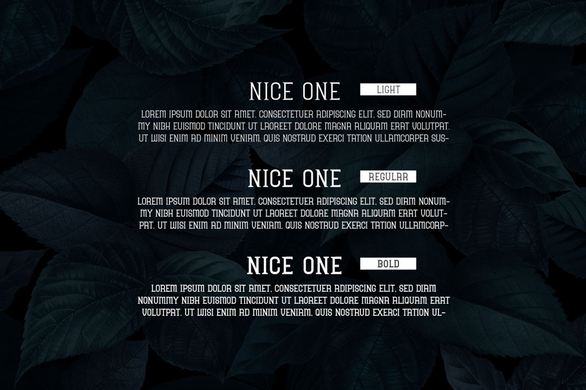 Nice One - Display Font, a Font by Mightyfire (Photo 2 of 3)