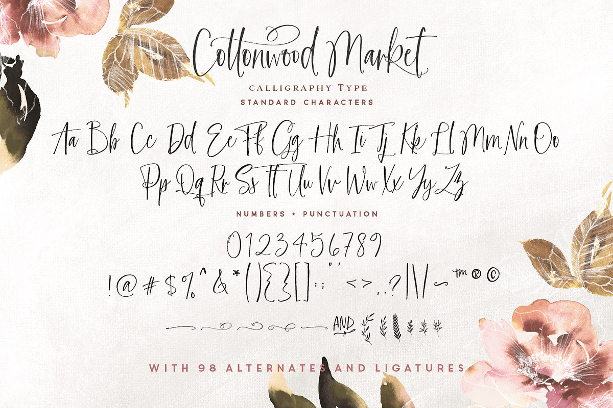 Cottonwood Market Typeface, a Script Font by Callie Rian & Co. (Photo 17 of 18)