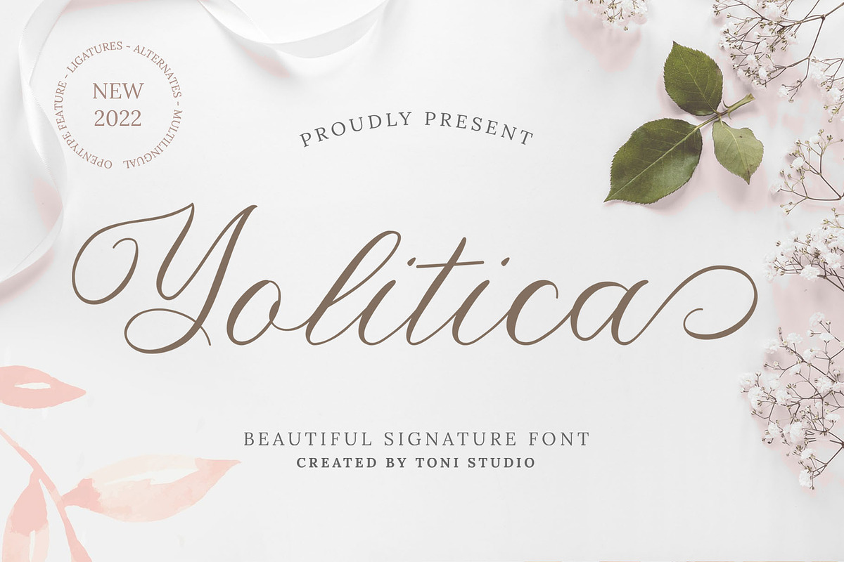 Beautiful Fonts Bundle, a Serif Font by ToniStudio (Photo 11 of 13)