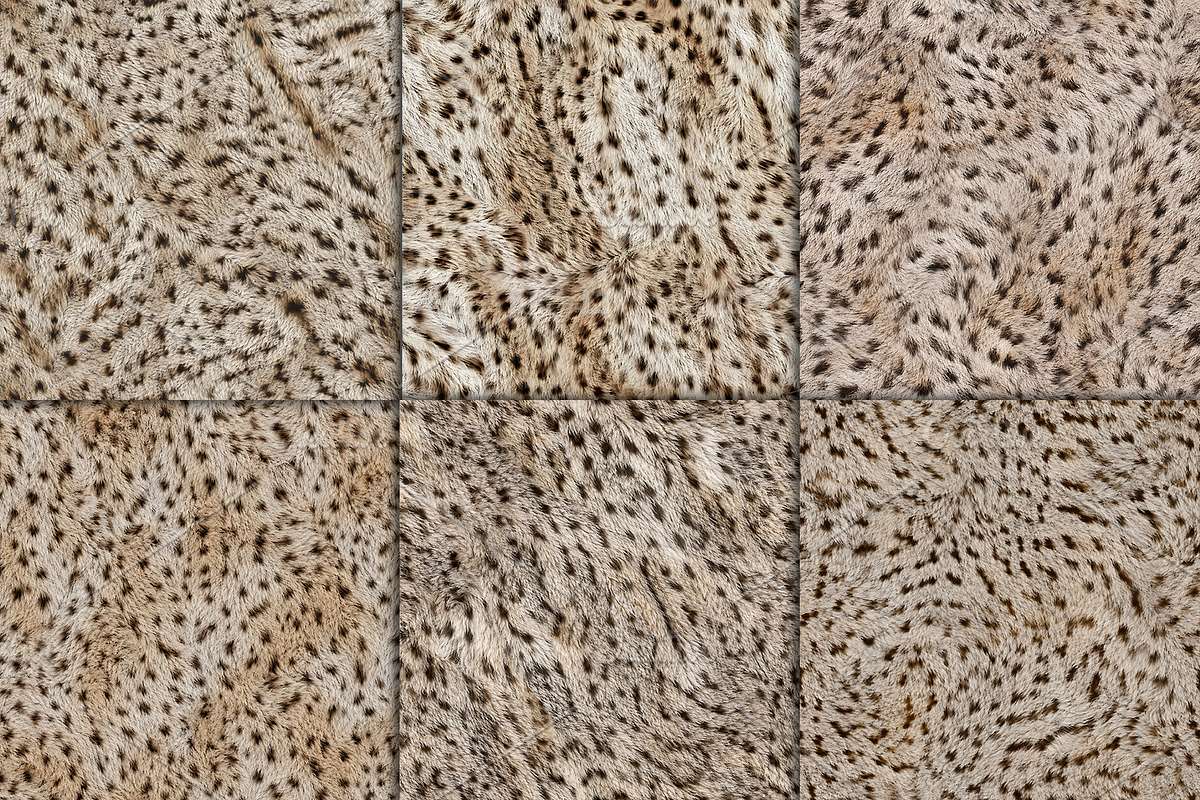 Realistic Cheetah Fur Texture, a Pattern Graphic by Artonix (Photo 3 of 4)