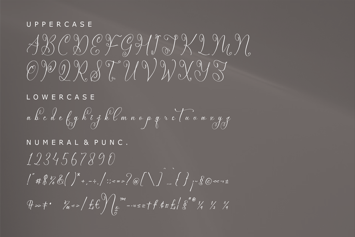 Mendikari Chic Calligraphy Font, a Script Font by Storytype Studio (Photo 13 of 14)