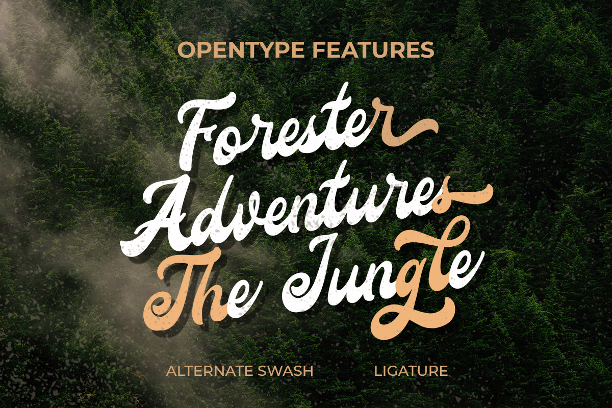 Roadsky Vintage Script, a Script Font by Fikry Alfatih (Photo 3 of 9)