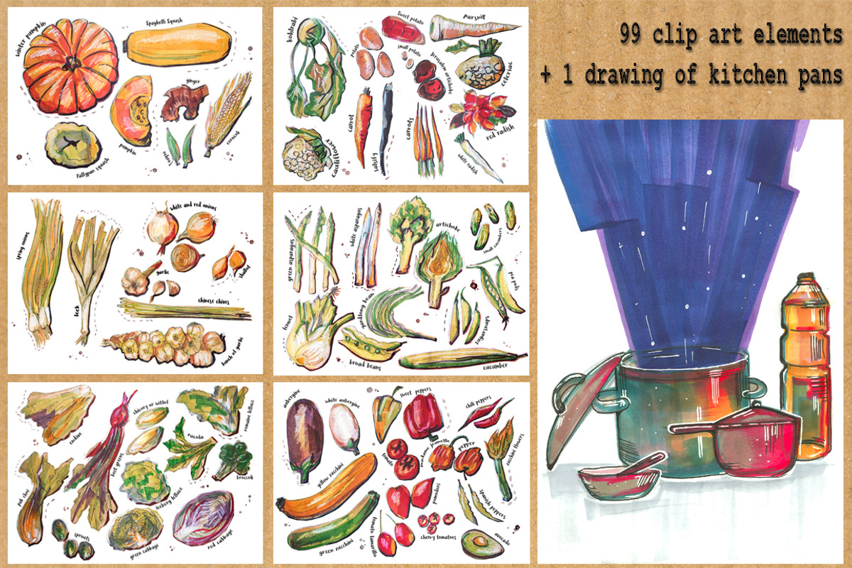65 hand drawn vegetables, a Food Illustration by ariadna de raadt (Photo 3 of 3)