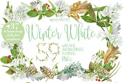 0101 Winter White, a Work Illustration by watercolorwild.graphics (Thumbnail 1 of 10)