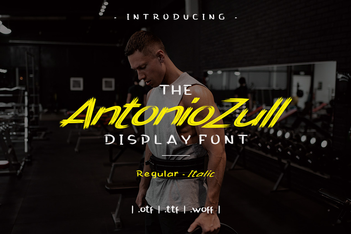 Antonio Zull Brush Font, a Script Font by yantodesign (Photo 1 of 8)