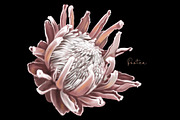 Wedding Tropical flower bundle, an Illustration by NNclipart (Thumbnail 6 of 9)