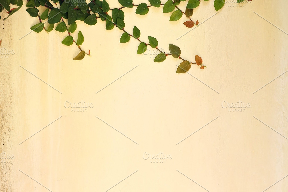 Creeping vine on stone, an Abstract Photo by The Free Creatives (Photo 2 of 2)