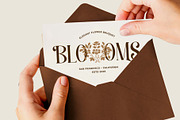 Ovalle – Elegant Display Serif Font, a Serif Font by kangfont Studio (Thumbnail 9 of 12)