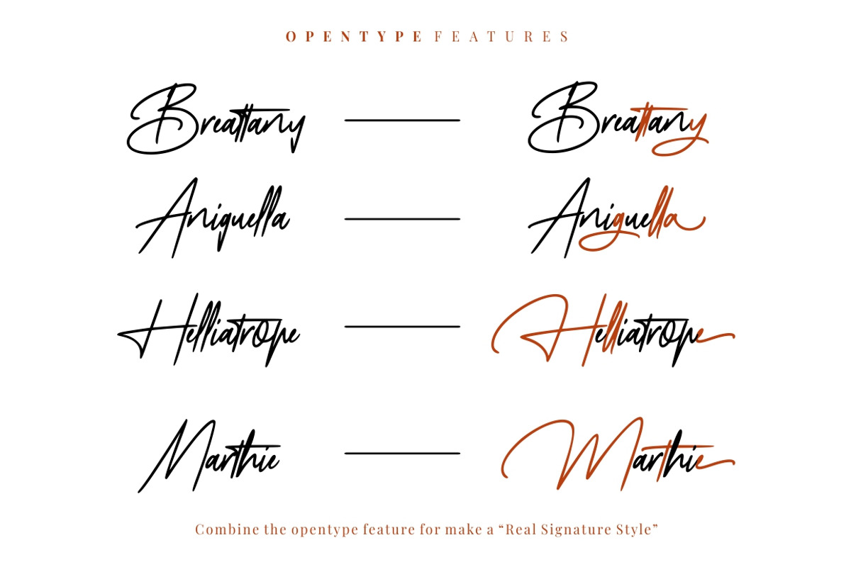 Mayestica - Luxury Signature Font preview 8