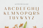 Ammira | A Modern and Elegant Serif, a Serif Font by Andrimada Creative (Thumbnail 13 of 13)
