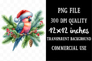 Watercolor Parrots Clipart, an Illustration by Designking (Thumbnail 4 of 5)