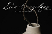 Whitley Pattrycia Luxury Calligraphy, a Script Font by Storytype Studio (Thumbnail 2 of 12)