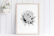Hydrangea SVG - Flowers Clip Art, an Illustration by YouniqueArtwork (Thumbnail 4 of 5)