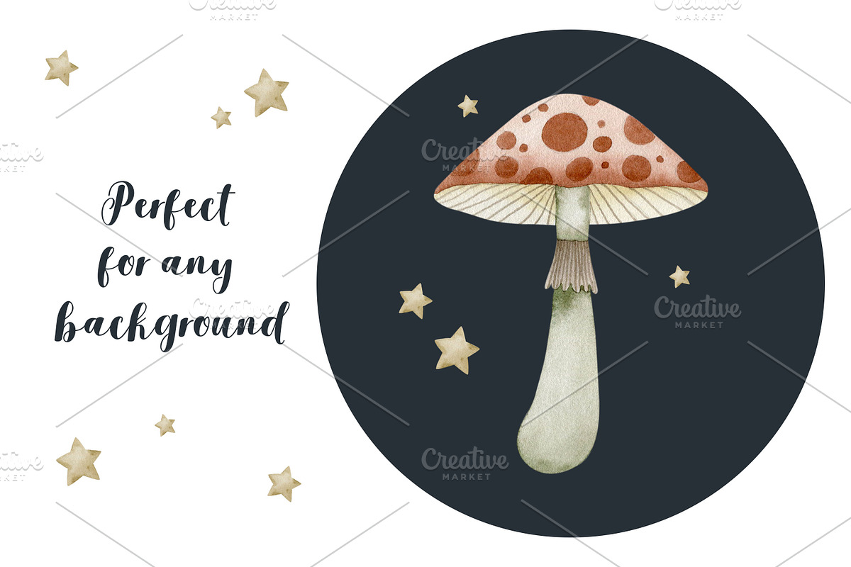 Watercolor mushrooms collection., a Decorative Illustration by Kira Konoshenko (Photo 3 of 12)
