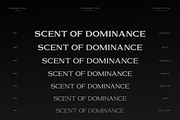 GC Volumn - Elegant Serif Typeface, a Serif Font by Glyphonic (Thumbnail 3 of 15)