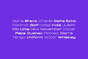 STARLEAGUE - The Display Font Family, a Sans Serif Font by Designova® (Thumbnail 15 of 15)