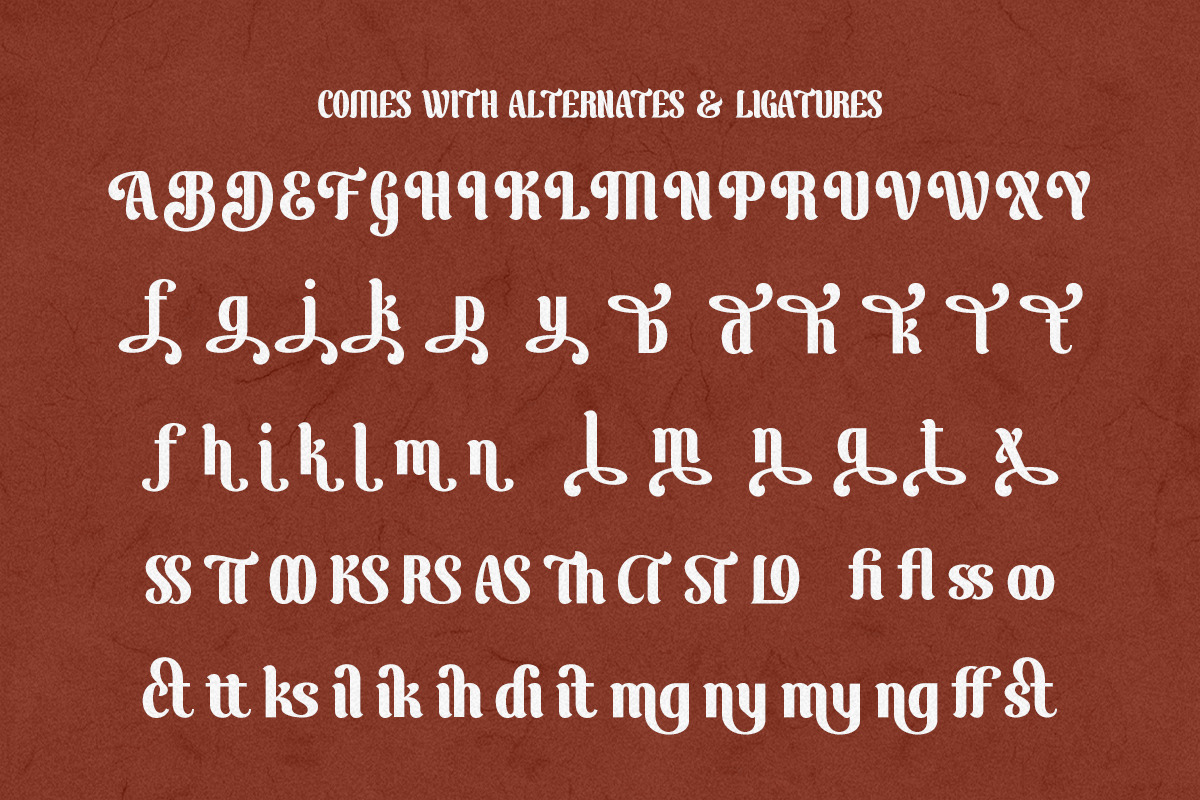 BelongFind - Display Serif, a Serif Font by Shakira Studio (Photo 10 of 10)