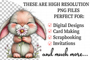 Whimsical Spring Animal Clipart, an Illustration by Daily.Designs (Thumbnail 2 of 8)