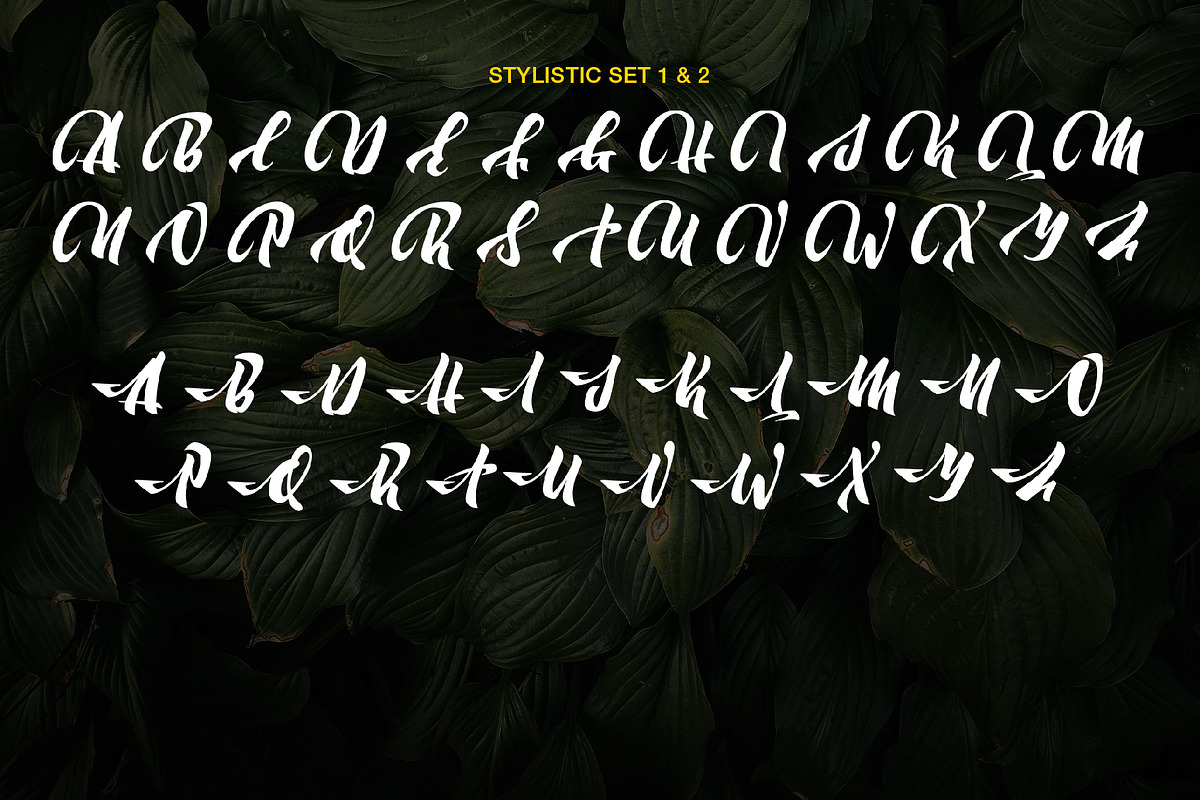 Moonway - A Hand Brush Typeface, a Script Font by SemutHitam Creative (Photo 8 of 10)