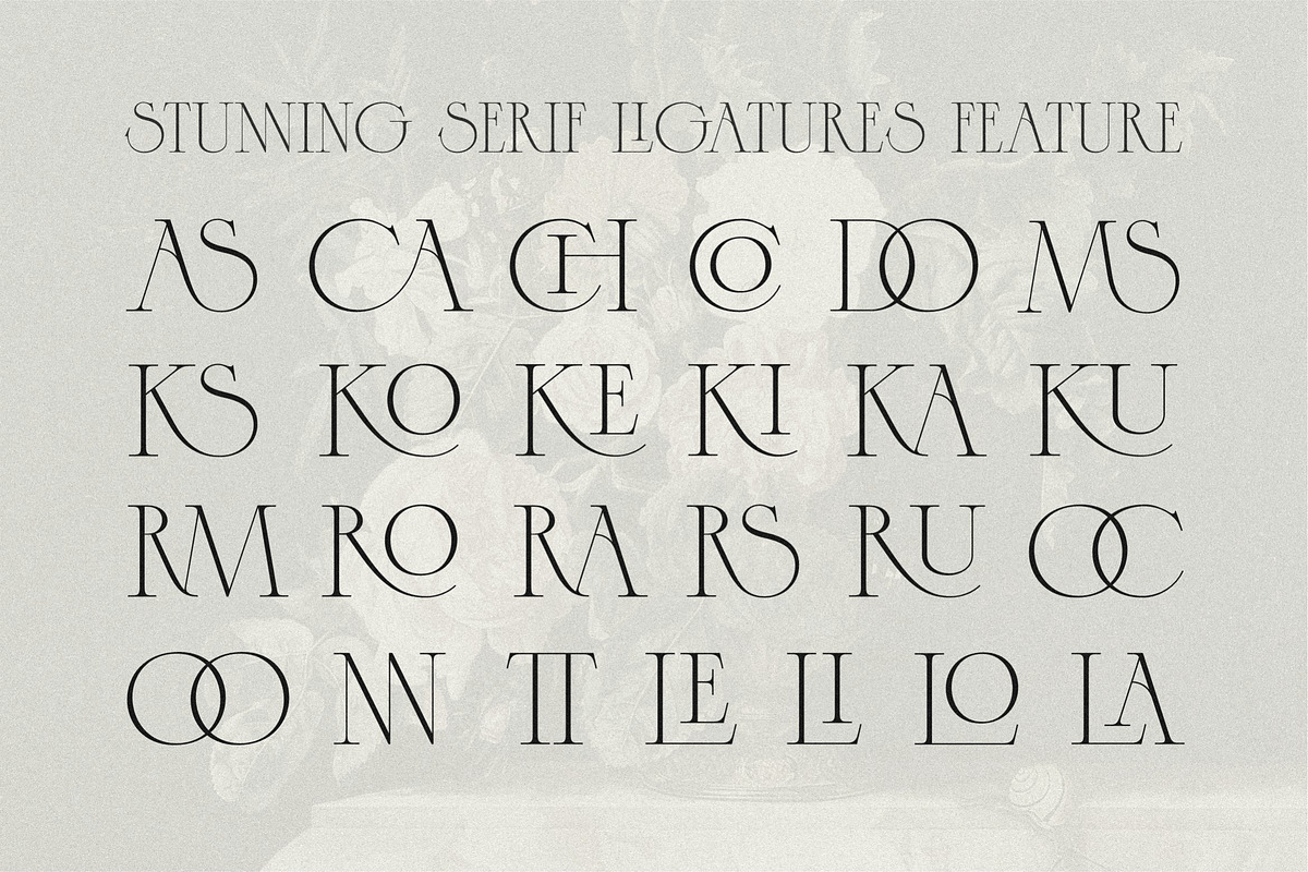 Caseopia Elegant Display Serif Font, a Serif Font by Letteralle Studios (Photo 9 of 10)