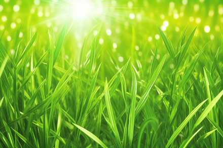 A grassy field with sun rays behind it. Generative AI, a Nature Photo by designvectx