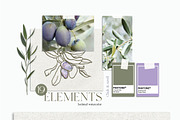 OLIVE - watercolor set, an Object Graphic by Collection by VY (Thumbnail 3 of 14)