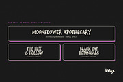 Cauldron Club - A Witchy Font Duo, a Handwritten Font by Mix Fonts (Thumbnail 4 of 12)