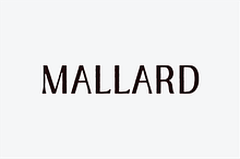MALLARD FONT
