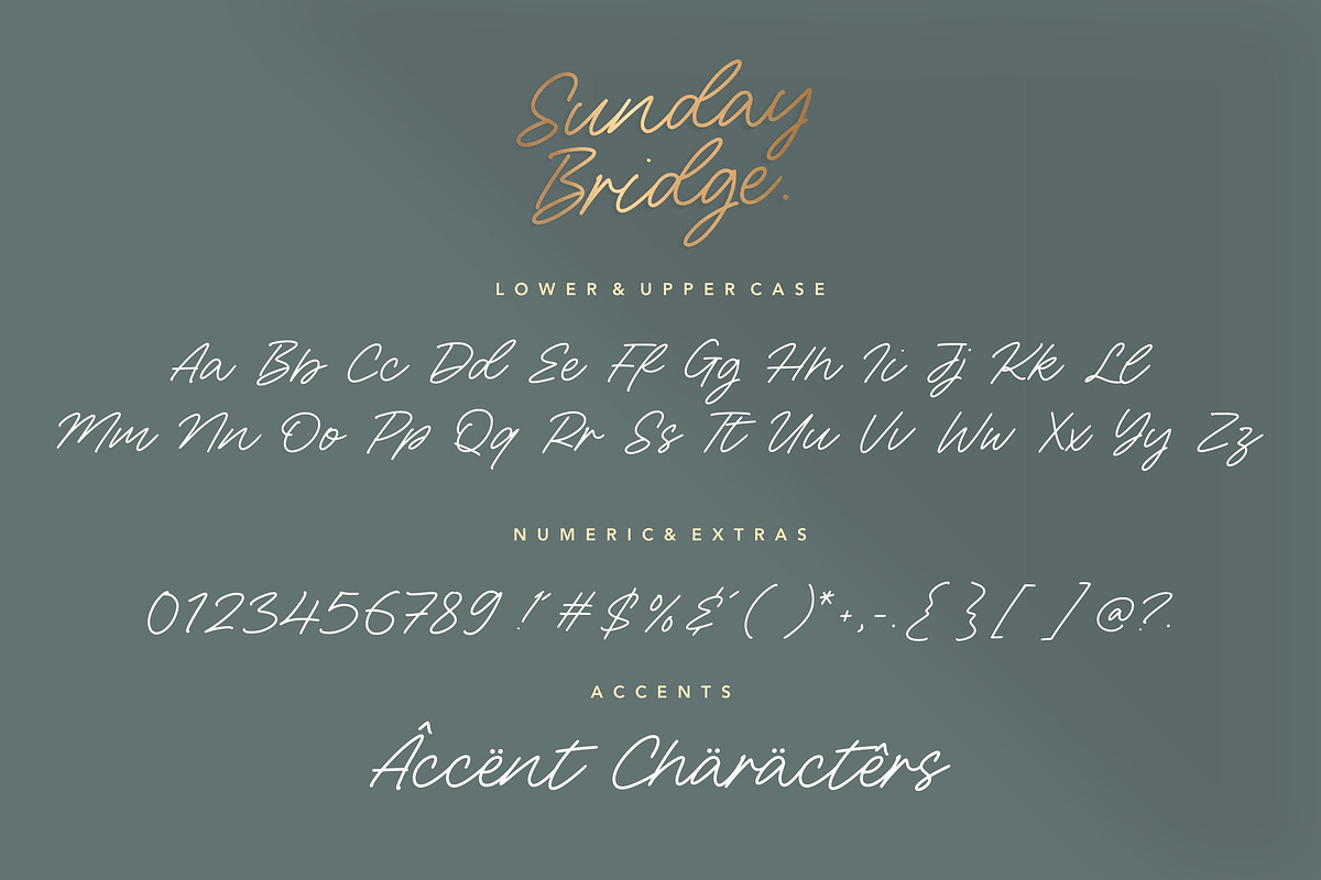 Sunday Bridge - Monoline Handwritten, a Script Font by Letterative Studio (Photo 6 of 7)