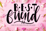Procreate Lettering Brushes Bundle, a Brush Add-On by Nap Time Design Co. (Thumbnail 6 of 11)