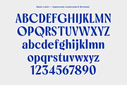 Bluemun – Timeless Serif, a Serif Font by Yukita Creative (Thumbnail 10 of 12)