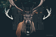 Chuko Font, a Sans Serif Font by Oui Studio (Thumbnail 9 of 12)