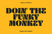 Ayuga - Psychedelic Font, a Serif Font by Zarma Type (Thumbnail 13 of 14)