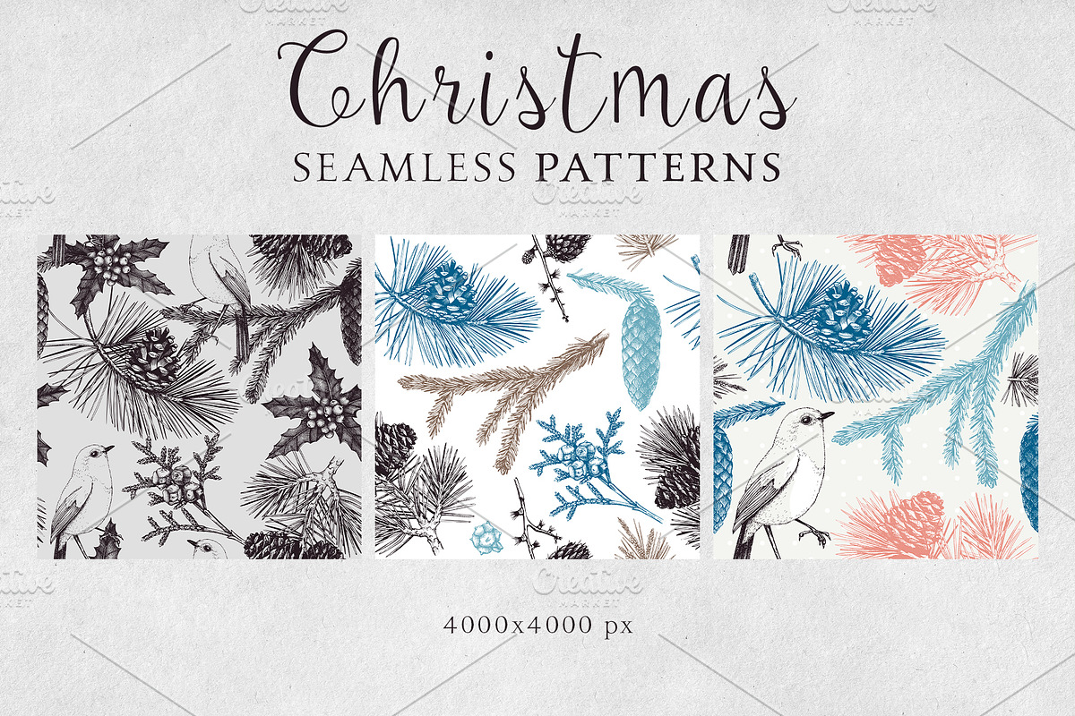 Vintage Winter Plants Collection, an Object Graphic by Yevheniia (Photo 6 of 8)