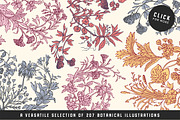 The Vintage Graphics Design Pack, a Decorative Illustration by Century Library (Thumbnail 4 of 14)