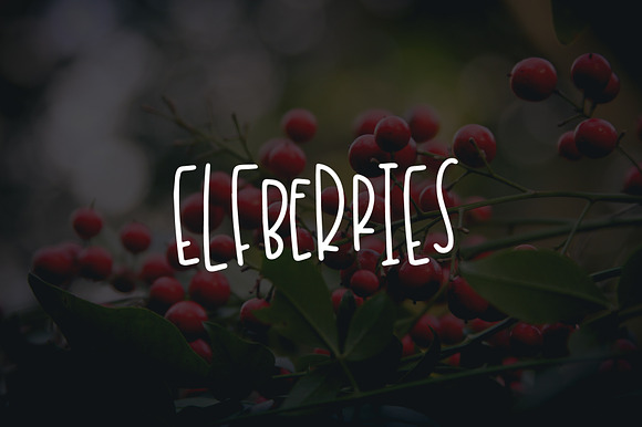 Elfberries preview 6