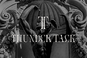 Meal - Serif Display Family, a Serif Font by Holyline Design (Thumbnail 7 of 15)