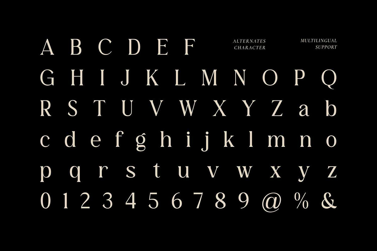 The Belonid - Classy Serif Font, a Serif Font by Imoodev (Photo 5 of 5)
